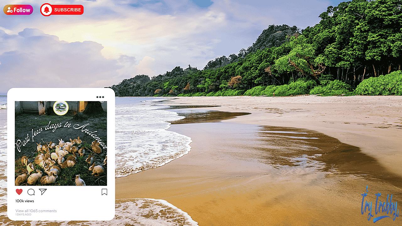 Havelock Island Tourism | Beaches, Boats & Adventure Travel_23599
