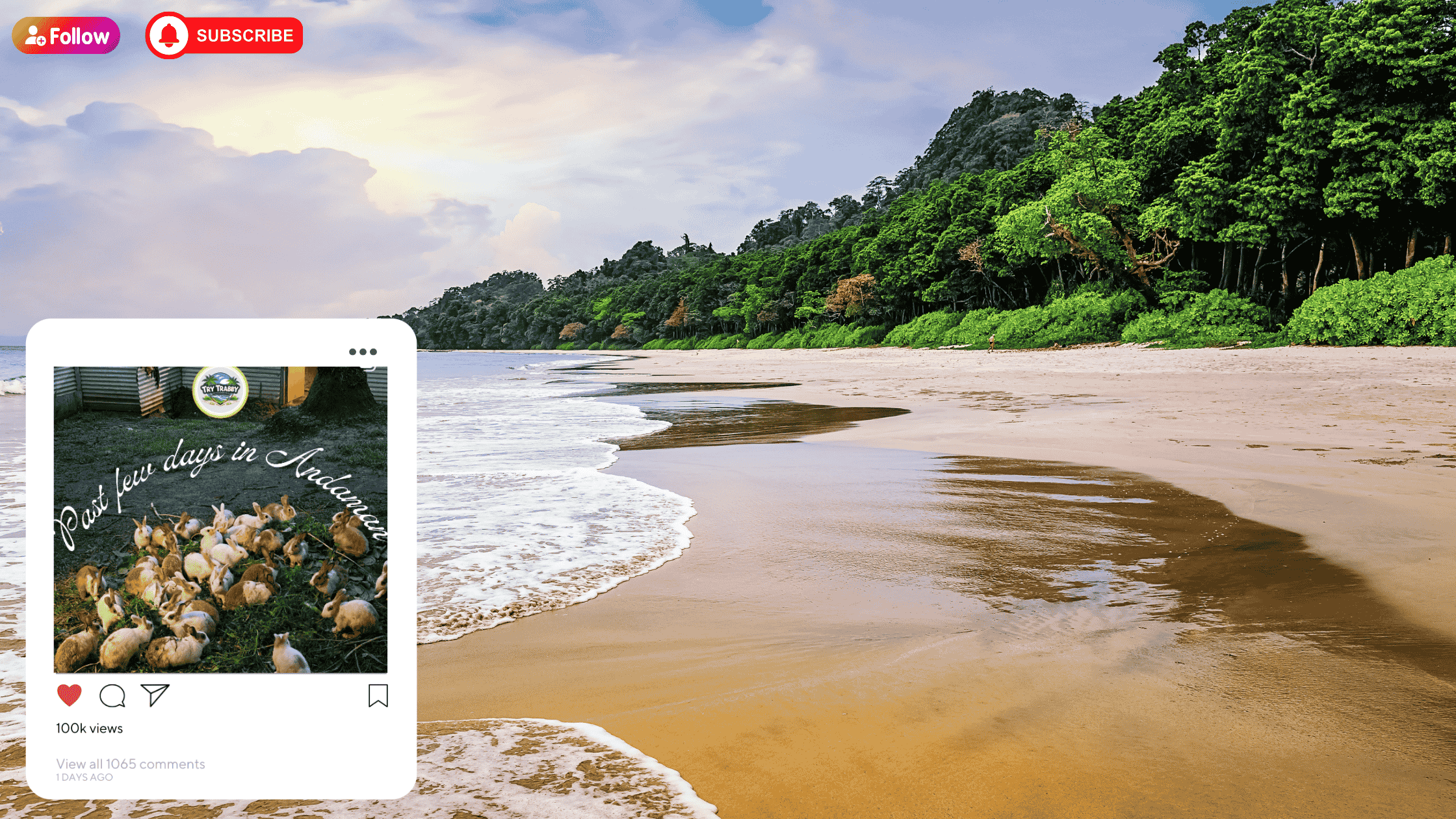 Havelock Island Tourism | Beaches, Boats & Adventure Travel_23599
