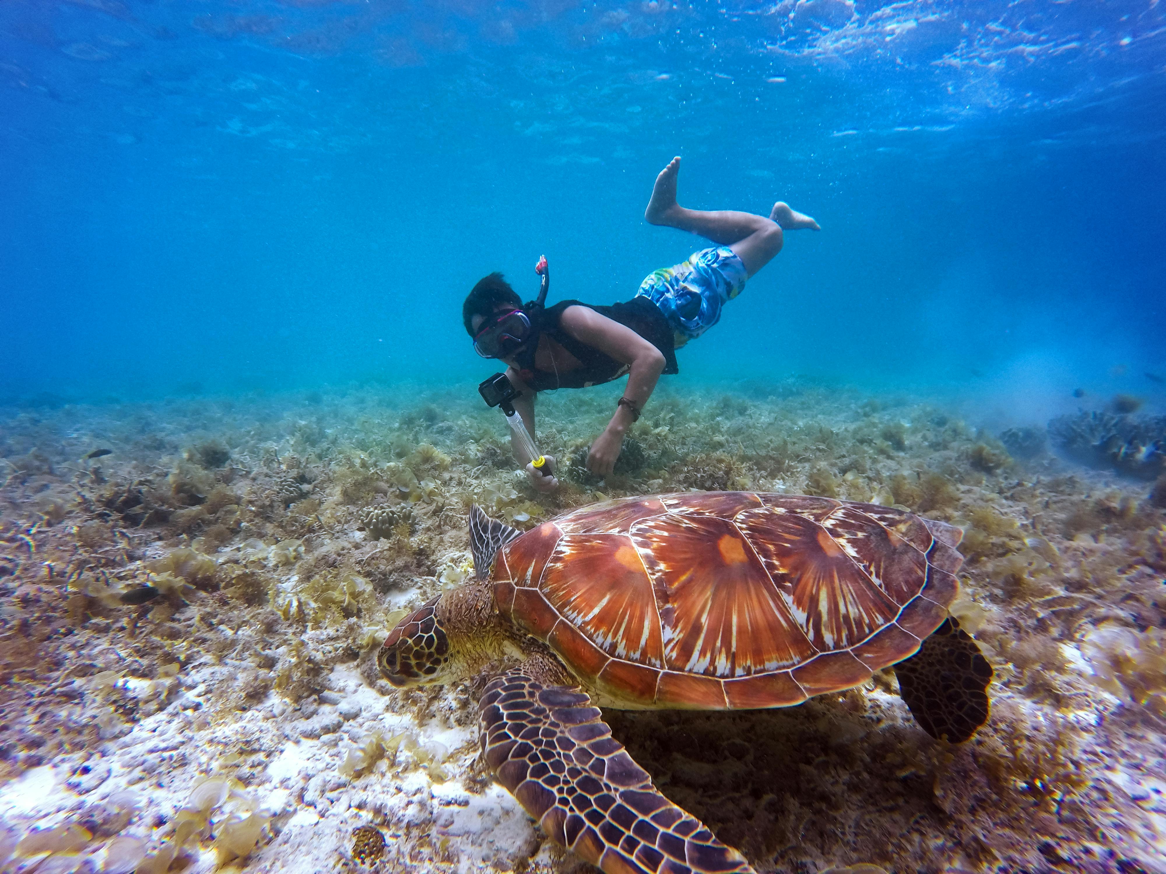 Snorkeling In The Andaman Islands_13544