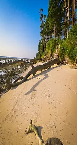 best time to visit andaman best time to visit andaman